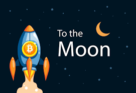 Dogecoin Astronaut To the Moon Blockchain HODL Palestine | Ubuy