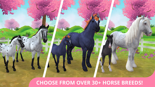 Star Stable Codes (Updated)