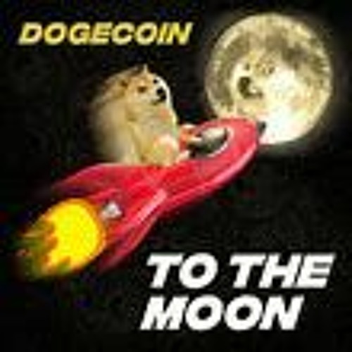 Dogecoin to the Moon in ? Experts Predict Price Surge Soon : bitcoinlog.fun: Books