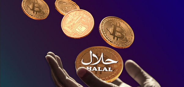 Halal Crypto Investment Opportunities - IFG