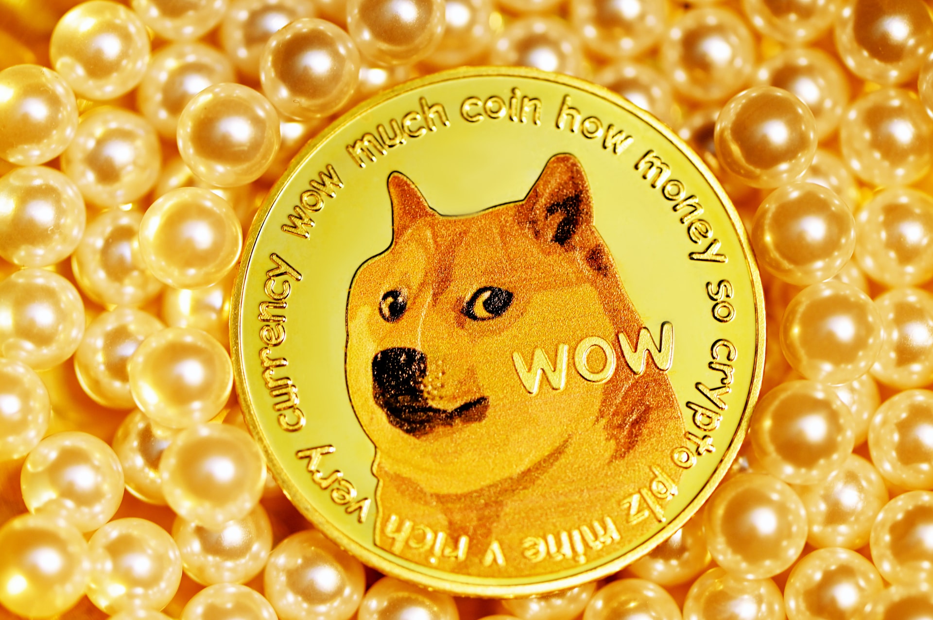 Fantasy Doge (FTD) Цена, Графики, Рыночная капитализация | CoinMarketCap