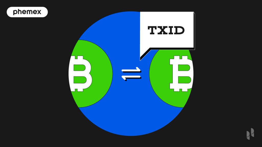 Transaction ID (TXID) Meaning | Ledger