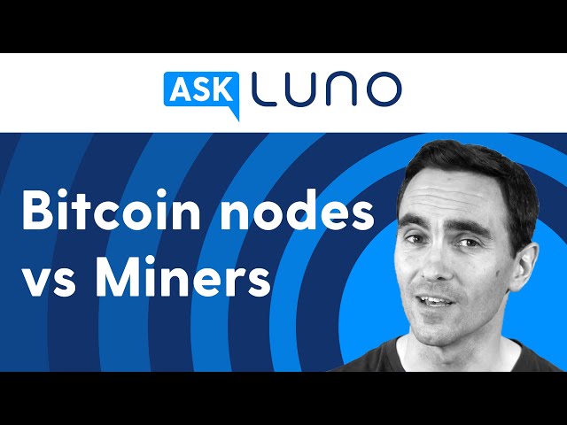 What You Need to Know About Bitcoin Nodes