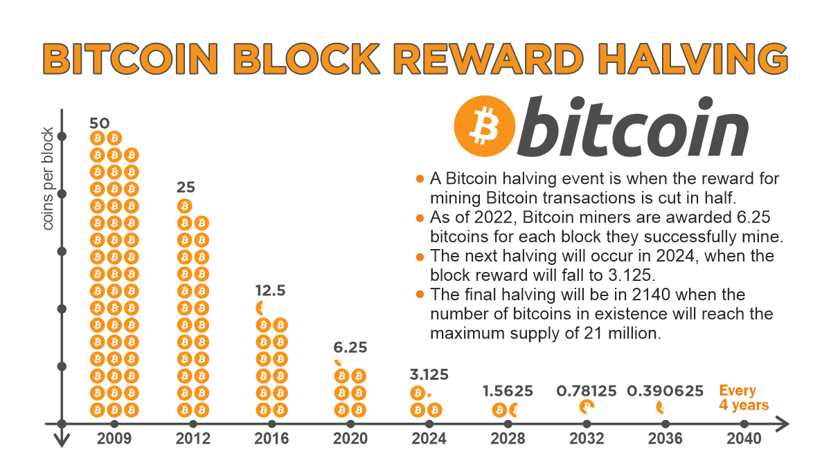 Bitcoin Halving Countdown (Live) | Newhedge