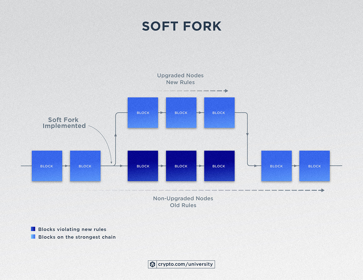 What is Blockchain Fork - Hard Fork and Soft Fork Examples