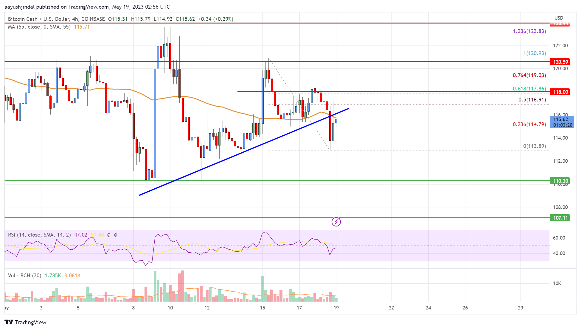 Bitcoin Cash (BCH) Price Prediction - 