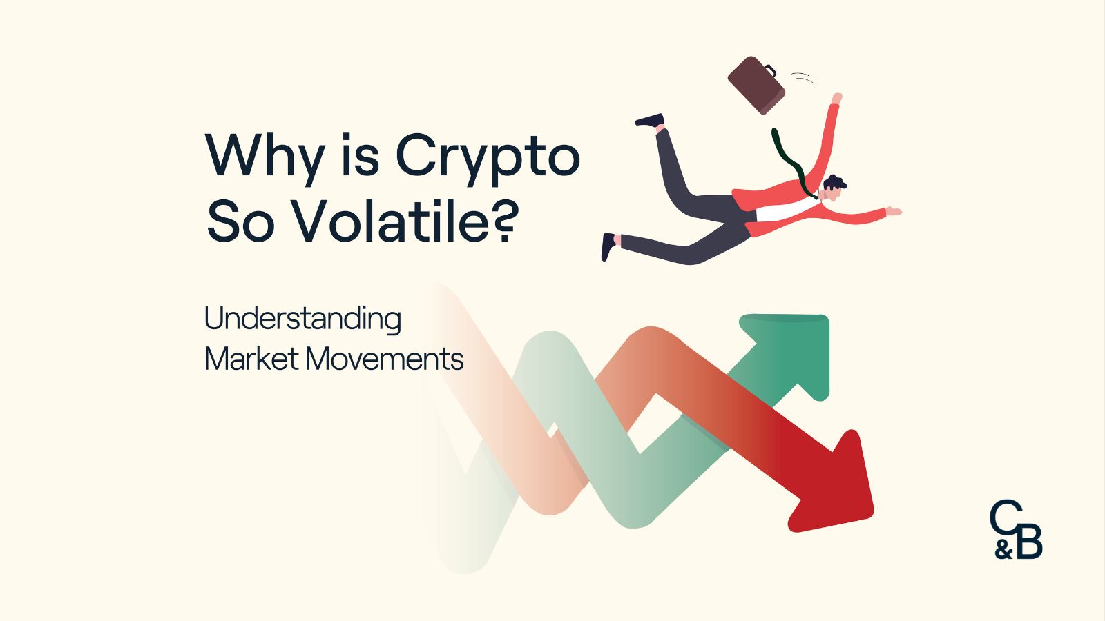 Cryptocurrencies, a highly volatile asset - 11Onze