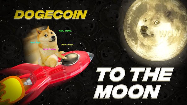 Dogecoin: The Most Honest Sh*tcoin | Galaxy