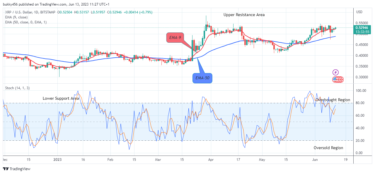 XRP/USD Dynamics: Real-time XRP Conversion | Bitsgap