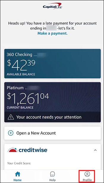 MONEY Teen Checking Account Disclosures | Capital One